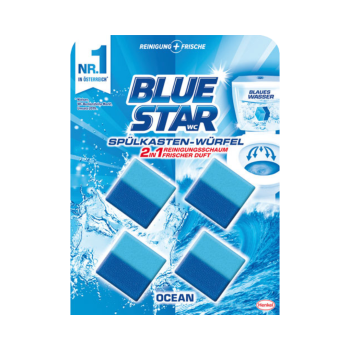 Blue Star Spuelkastenwuerfel 2in1 Ocean, Reinigung und Frische, 200 Gramm